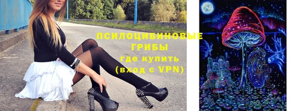 мдпв Медвежьегорск