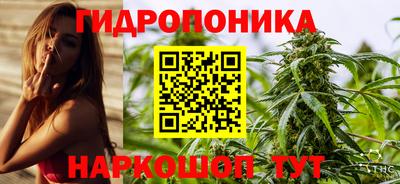 гашик Волжск