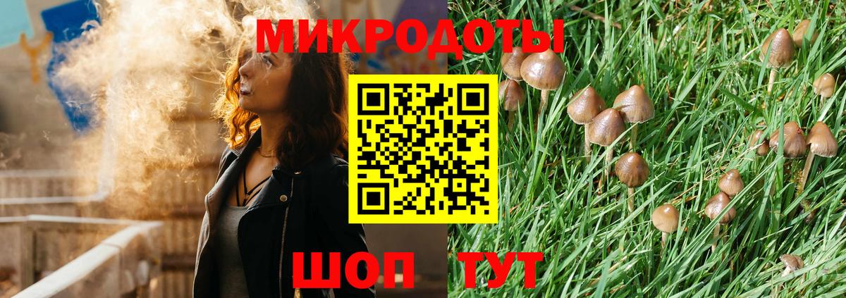 Галлюциногенные грибы Magic Shrooms Тавда