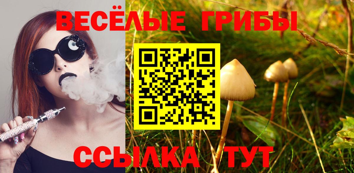 Псилоцибиновые грибы Psilocybe  Вход с VPN  Галлюциногенные грибы Cubensis  Тавда 